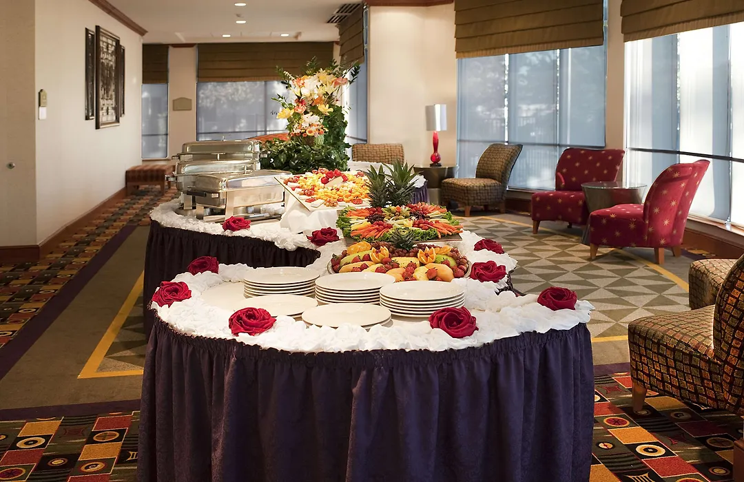 Hilton Garden Inn Dfw Airport South-1